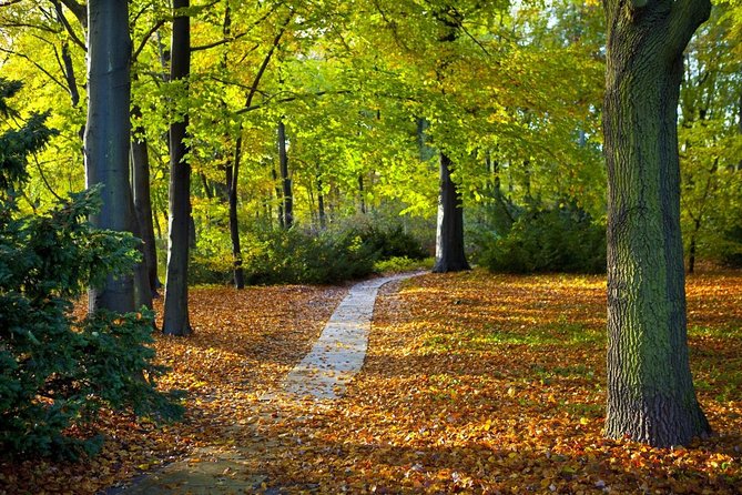 3-Hour Bike Tour of Tiergarten and Berlin's Hidden Places - Key highlights worth your attention