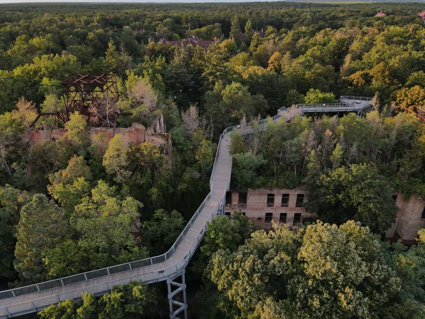 Beelitz-Heilstätten: Baum&Zeit Tree Top Walk Entry Ticket - Alpenhaus ruins and a canopy forest grown since 1945