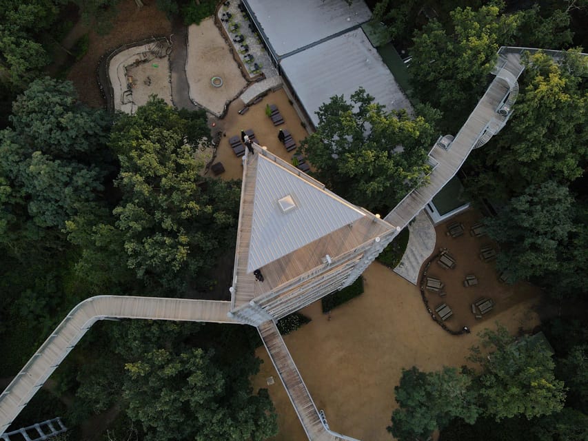 Beelitz-Heilstätten: Baum&Zeit Tree Top Walk Entry Ticket - Forest park seasonality: 65 tree and shrub species to spot