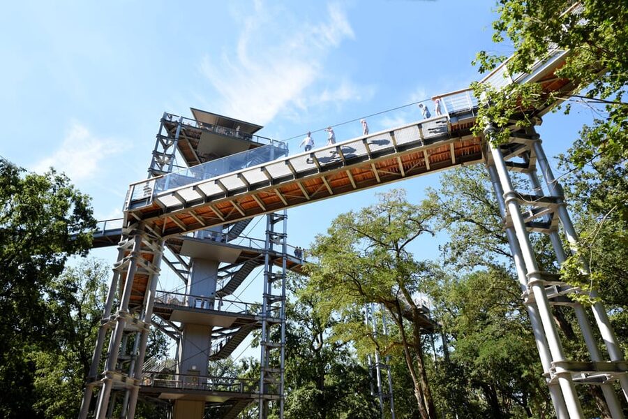 Beelitz-Heilstätten: Baum&Zeit Tree Top Walk Entry Ticket - Getting there and timing your day without stress