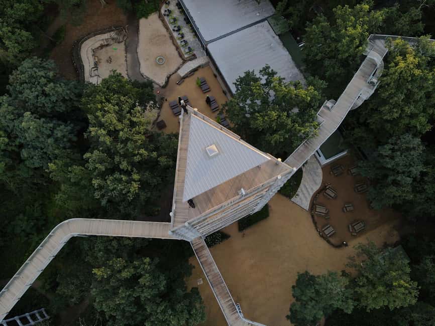 Beelitz-Heilstätten: Baum&Zeit Tree Top Walk Entry Ticket - Should you book this entry ticket?
