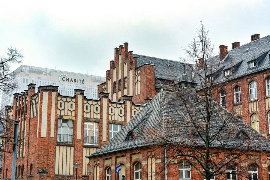 Berlin: Charité Hospital Walking Tour of Medical History - Rachel Hirsch and the push for women in medicine in 1913