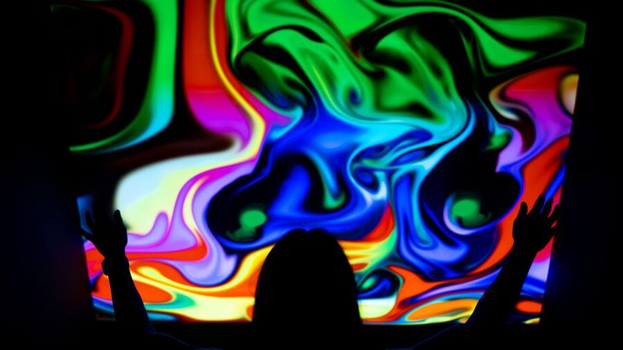 Berlin: Interactive DeJa Vu Museum Entrance Ticket - Oleg Shupliak’s layered portraits: art plus perception