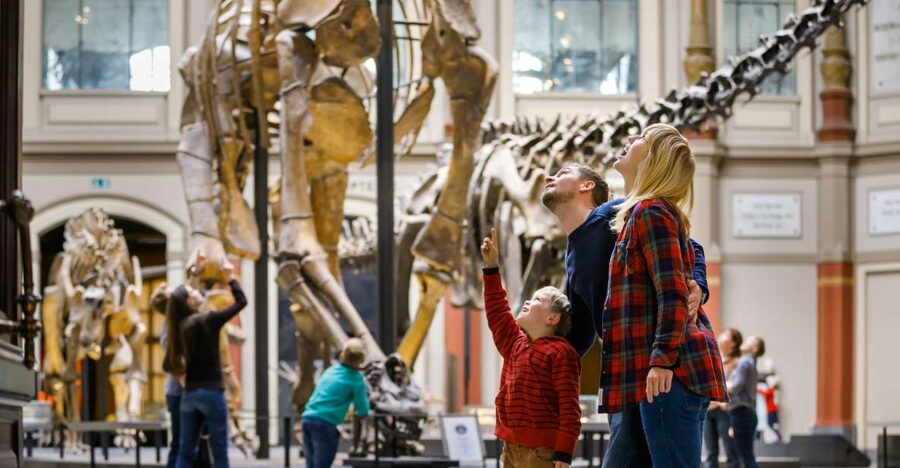 Berlin: Natural History Museum Entrance Ticket - Key Things You’ll Appreciate