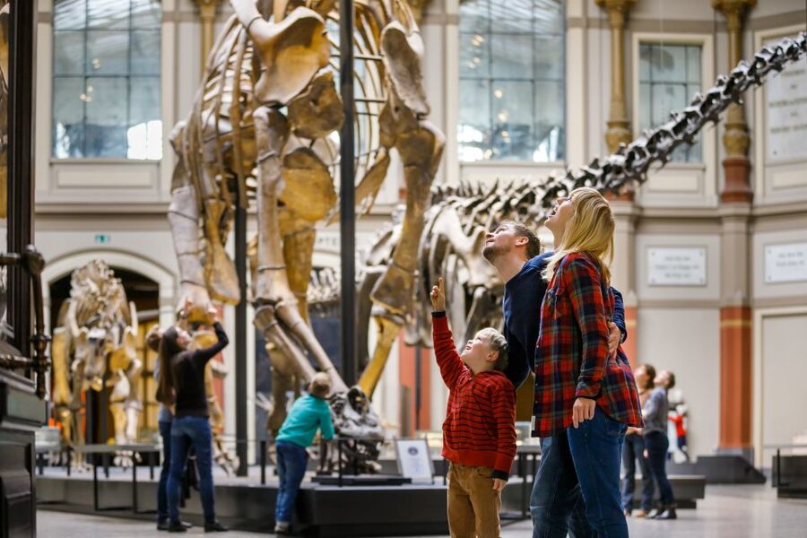 Berlin: Natural History Museum Entrance Ticket - Dinosaur Hall: Giraffatitan and Jurassic-Style Atmosphere