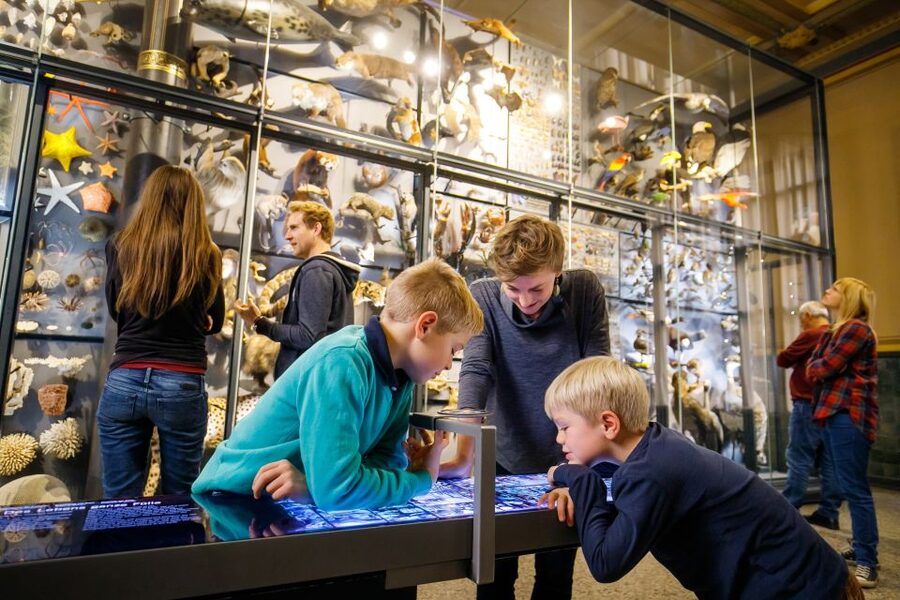 Berlin: Natural History Museum Entrance Ticket - Biodiversity Wall: 3,000 Species in One Breath