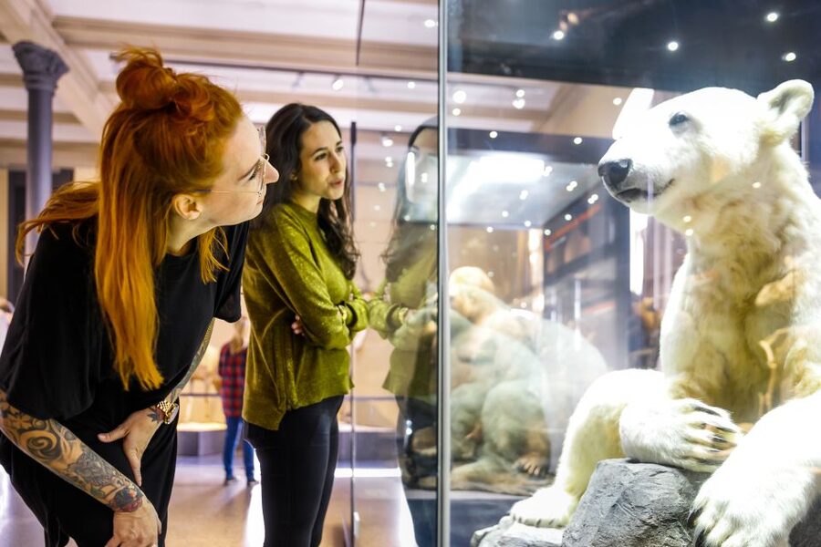 Berlin: Natural History Museum Entrance Ticket - Price and Value: $12 for Fossils, Research, and Biodiversity