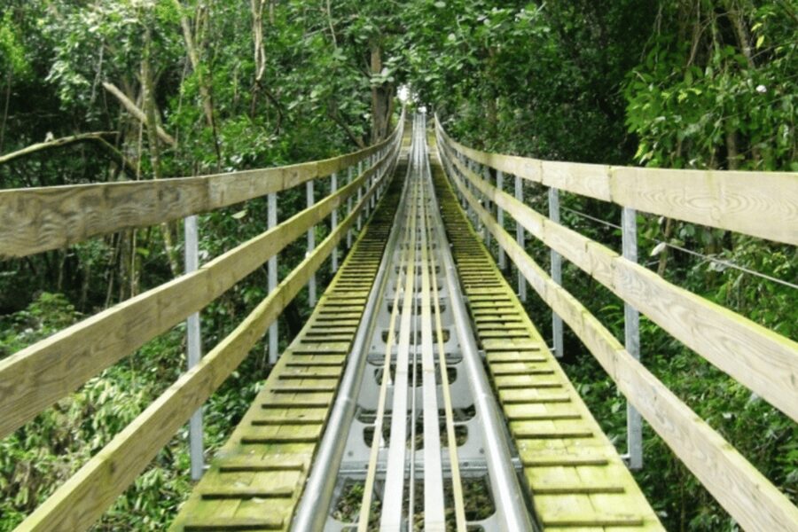 Berlin: Nature Bobsled Run Ticket - Ticket Value: Why a $7 Ride Can Still Be Worth It