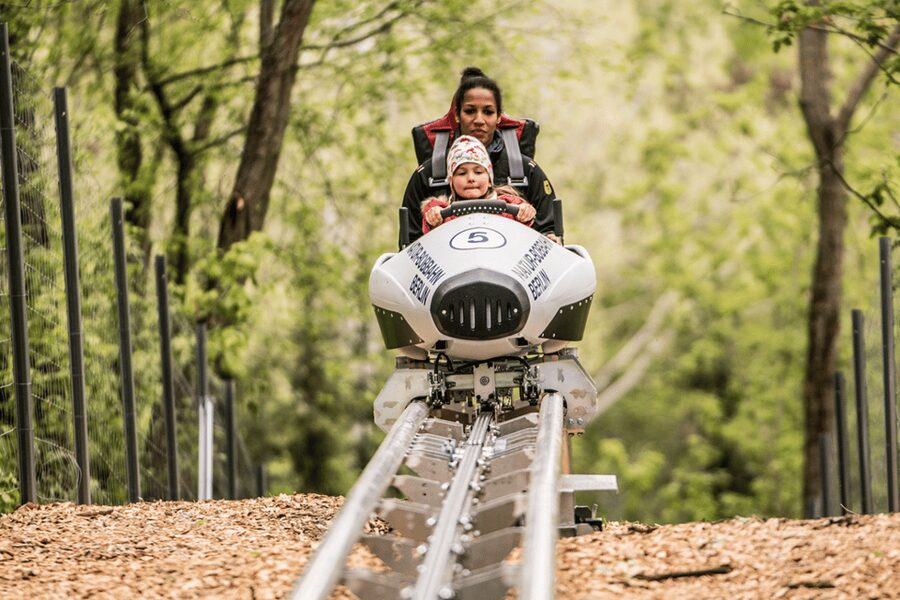 Berlin: Nature Bobsled Run Ticket - Accessibility: Wheelchair Accessible, But Check the Practical Fit