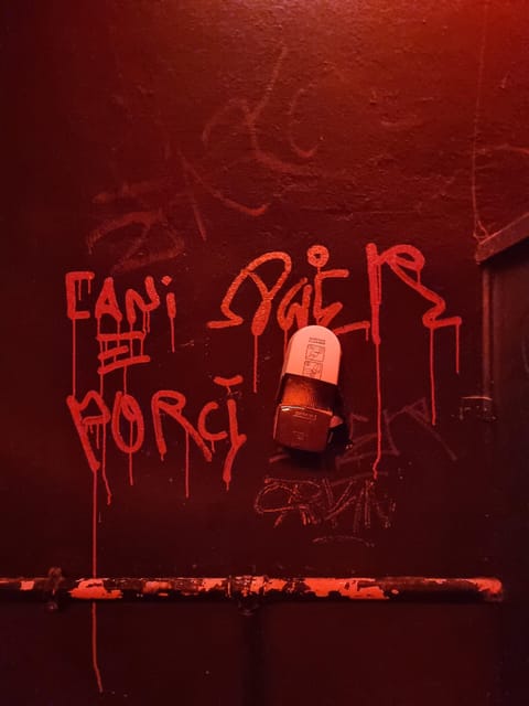 Berlin: Premium Underground Party Tour - Who This Tour Is Best For (and Who Should Skip It)