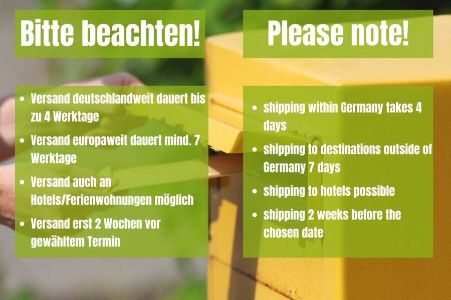 Berlin: Scavenger Hunt Self-Guided Tour - How the scavenger-hunt box works (envelopes, directions, and “emergency” help)