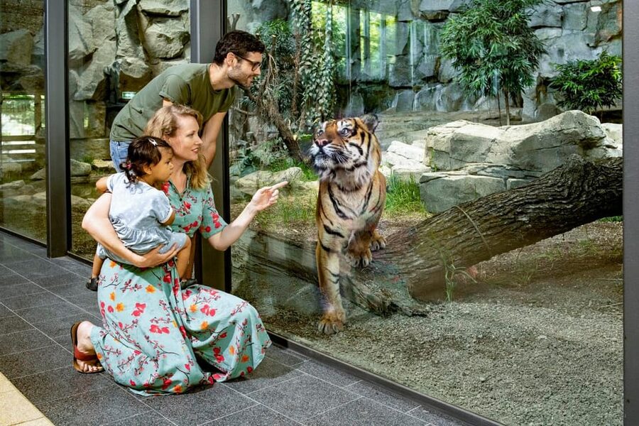 Berlin: Tickets for the Tierpark in East Berlin - Key highlights before you go