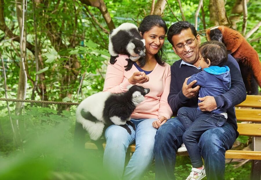 Berlin: Tickets for the Tierpark in East Berlin - Vari Forest, petting zoo, and the birds of prey flight show