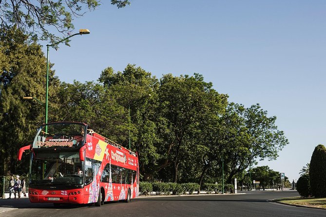 City Sightseeing Potsdam Hop-On Hop-Off Bus Tour - Should You Book This Hop-On Hop-Off Potsdam Bus?
