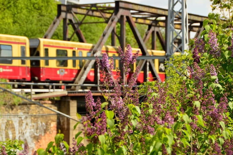 EasyCityPass Berlin: Zone AB Public Transport and Discounts - Family-Friendly Perks: Kids Free, Plus Dog and Stroller