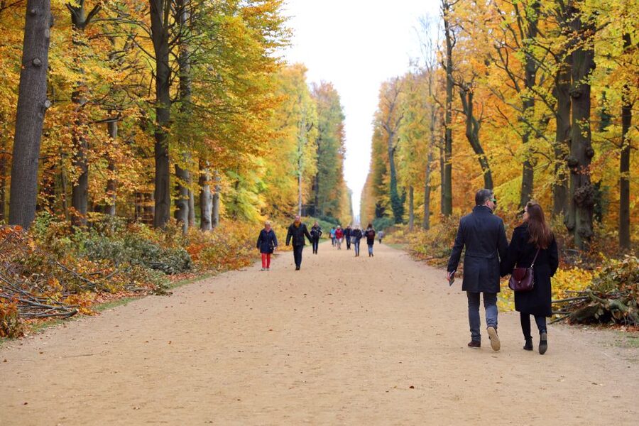 From Berlin: Historical Gems of Potsdam Private Day Trip - What the history talk actually covers (and why it helps)