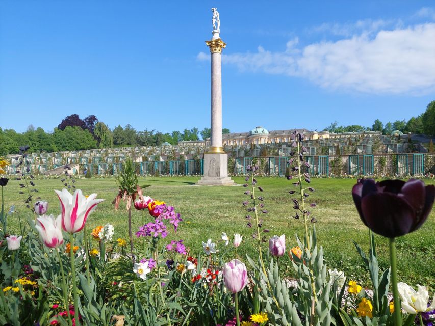 From Berlin: Potsdam Half-Day Guided Tour - Key highlights worth your time