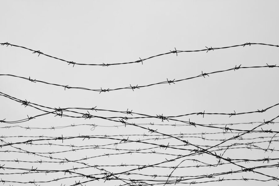 From Berlin: Sachsenhausen Concentration Camp Guided Tour - Gas Chamber Site, Executions, and What the Tour Shows You