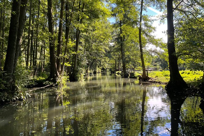 From Berlin to the Enchanted Spree Forest - Practical tips to make your day smoother