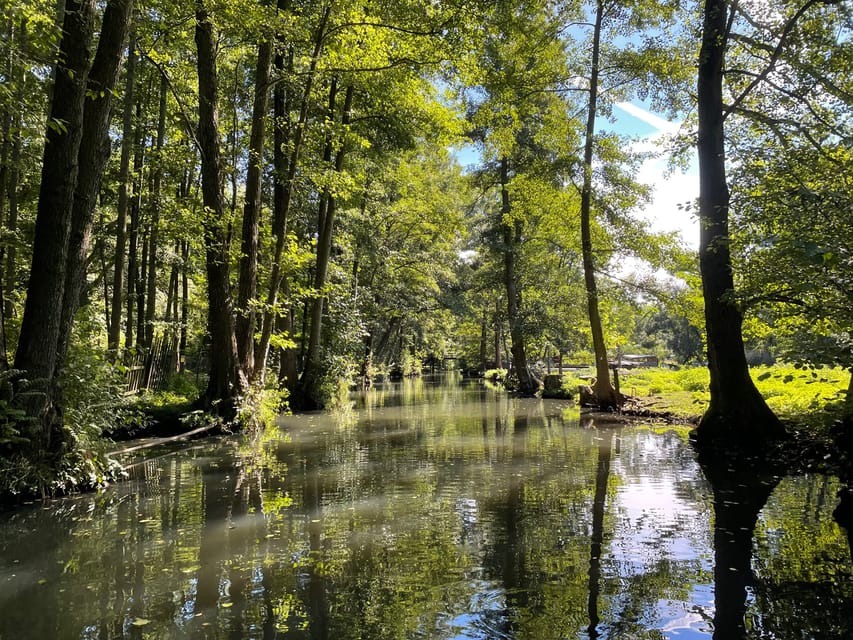 From Berlin to the Fairy-Tale Forests of the Spreewald - Price and Value: What You’re Really Paying For