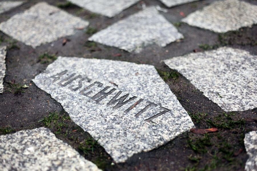 Hitler’s Germany: Berlin During the Third Reich & WWII - Who should book this tour, and who might want to adjust expectations