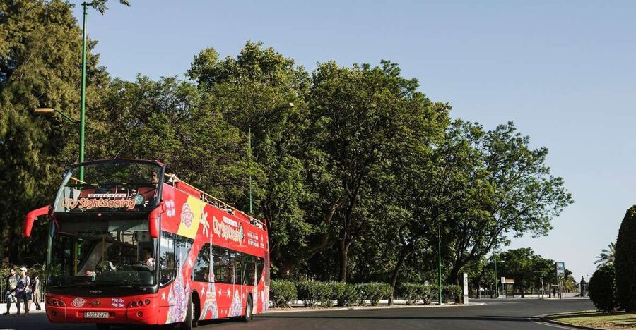 Potsdam: City Sightseeing Hop-On Hop-Off Bus Tour - From Luisenplatz to Hauptbahnhof: Your Central Jump-Off Rhythm
