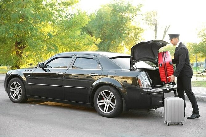 Private One way Airport Transfer Berlin Airport To Berlin - Vehicle comfort: air-conditioned rides that feel human after travel