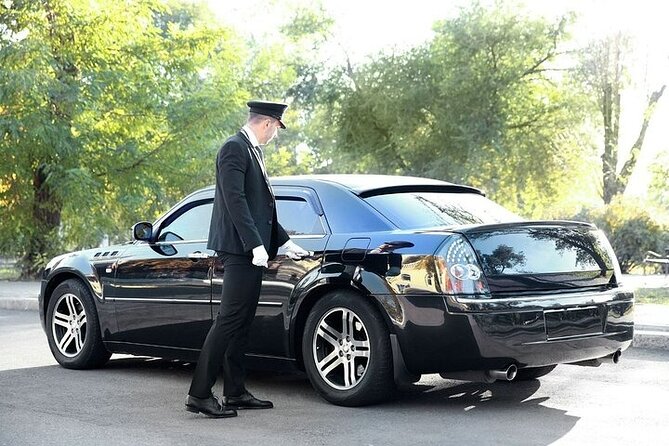 Private One way Airport Transfer Berlin Airport To Berlin - Timing and duration: managing your 45-minute expectation
