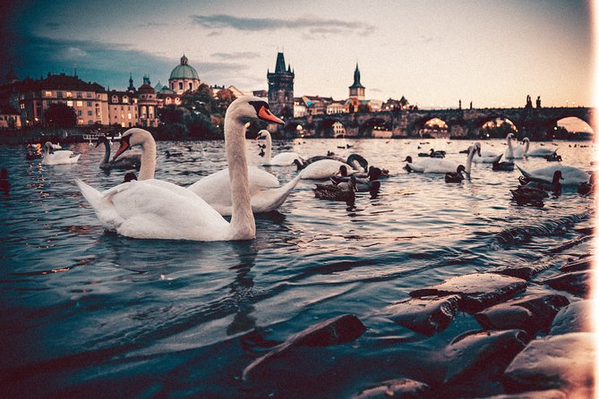Private Transfer from Berlin to Prague with 2h of Sightseeing - Timing and Day Flow: How the 6-Hour Plan Fits Real Life