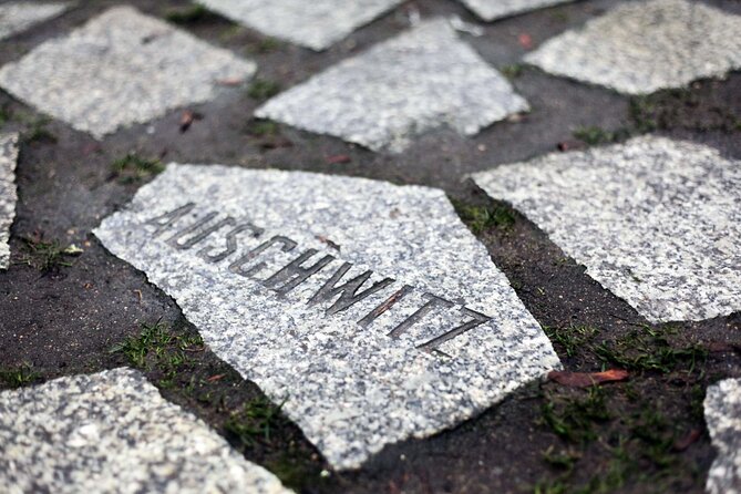 Private Walking Tour in Berlin: Hitler's Germany & WWII - Topography of Terror: seeing how terror was organized