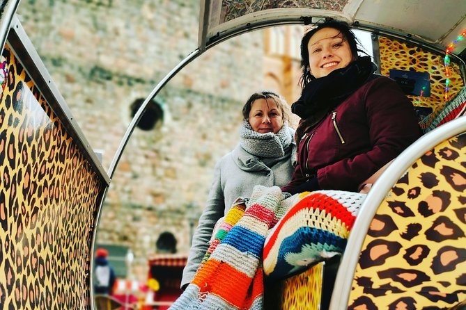 Rickshaw Sightseeing Tours Berlin - Highlights Berlin - Rickshaw city tour - Who this e-rickshaw tour is best for