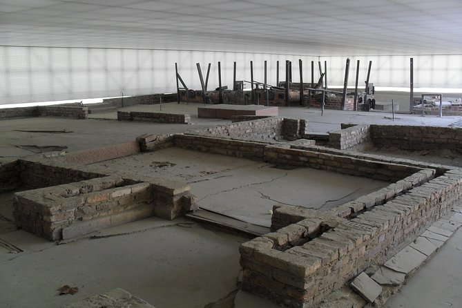 Visita en español al campo de concentración Sachsenhausen - Key things that make this tour worth your time
